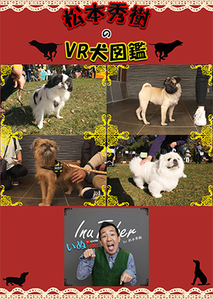 松本秀樹のVR犬図鑑！可愛い！はなぺちゃ犬編（狆、パグ、ブリュッセル・グリフォン、ペキニーズ）